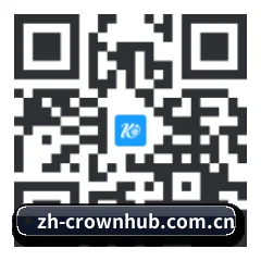苹果访客专属 二维码